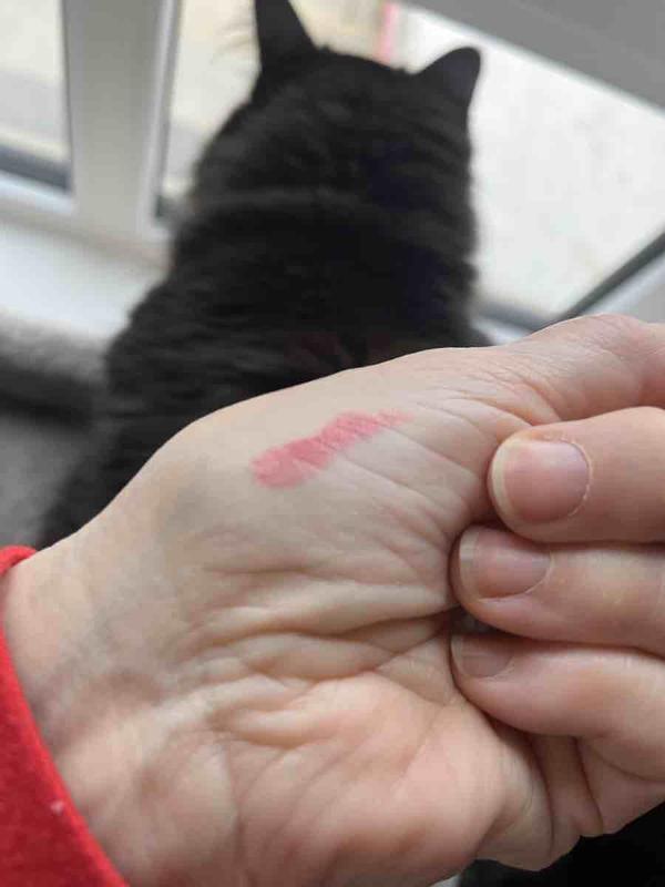 Review Thumbnail Image 0 224302572