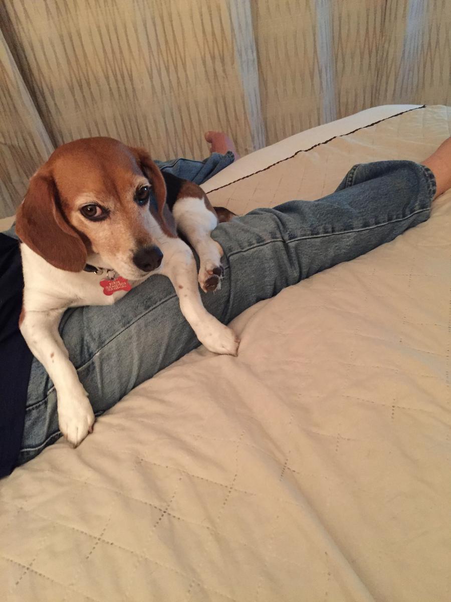 Review Thumbnail Image 0 197518985