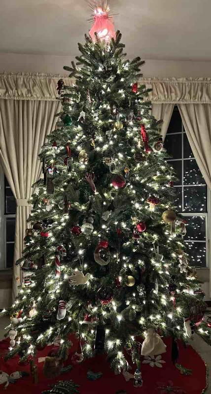 Review Thumbnail Image 0 221896134