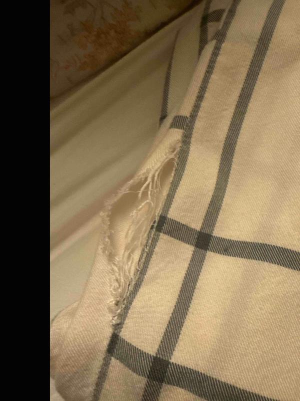 Review Thumbnail Image 0 247844649