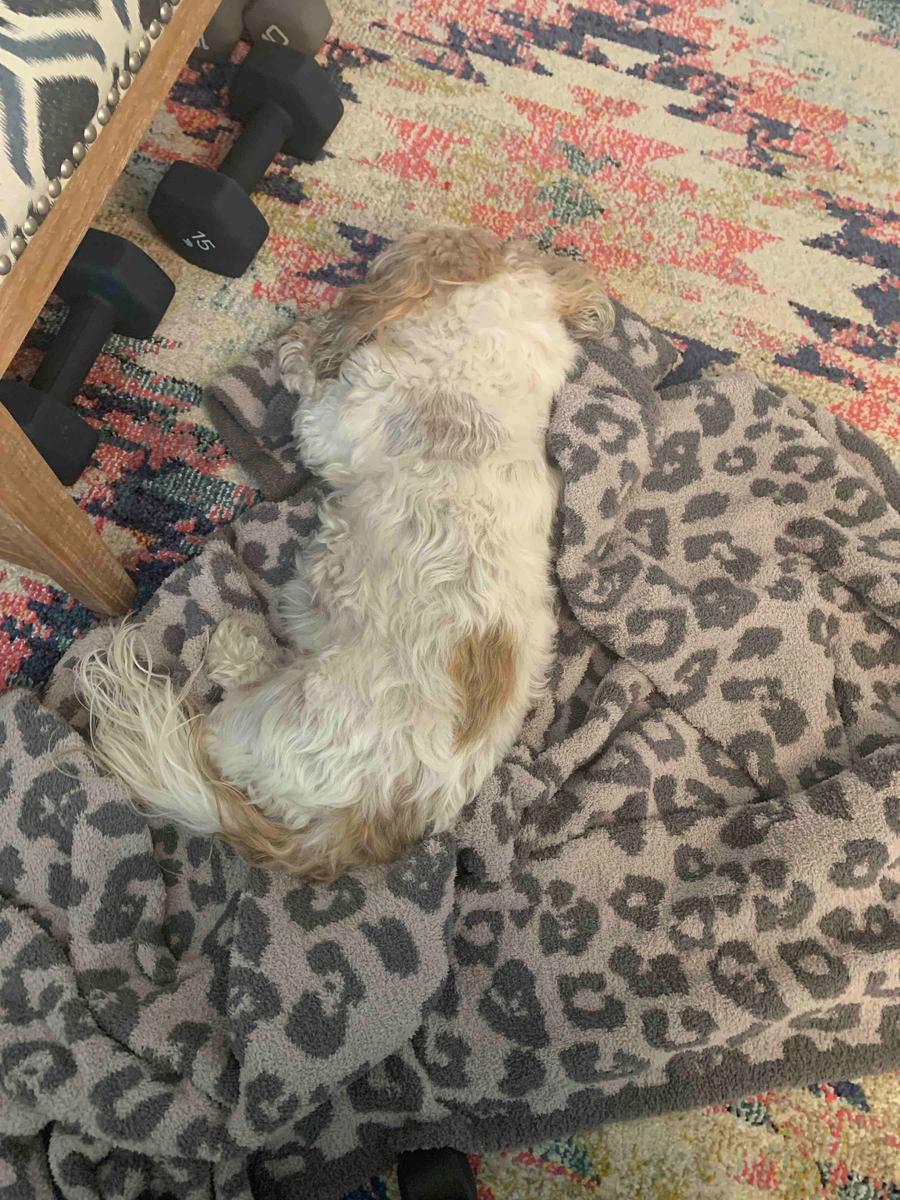 Review Thumbnail Image 0 199389500