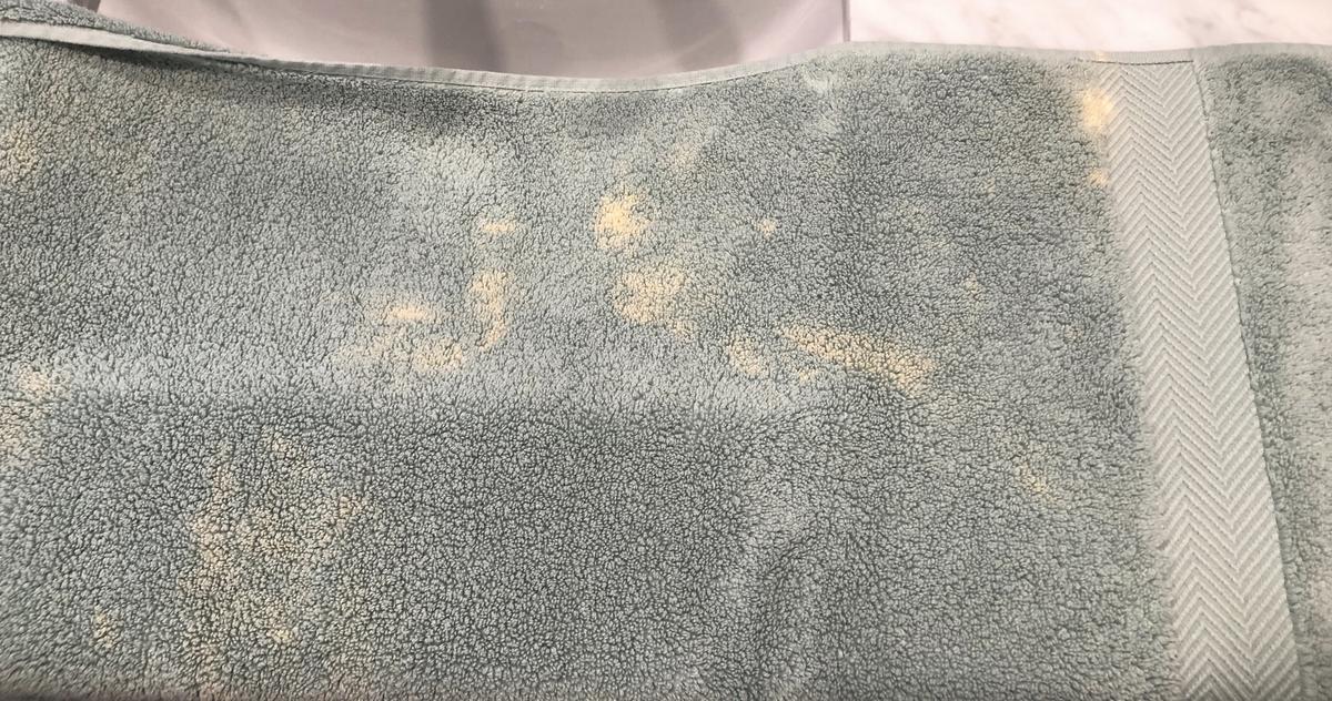 Review Thumbnail Image 1 202128787