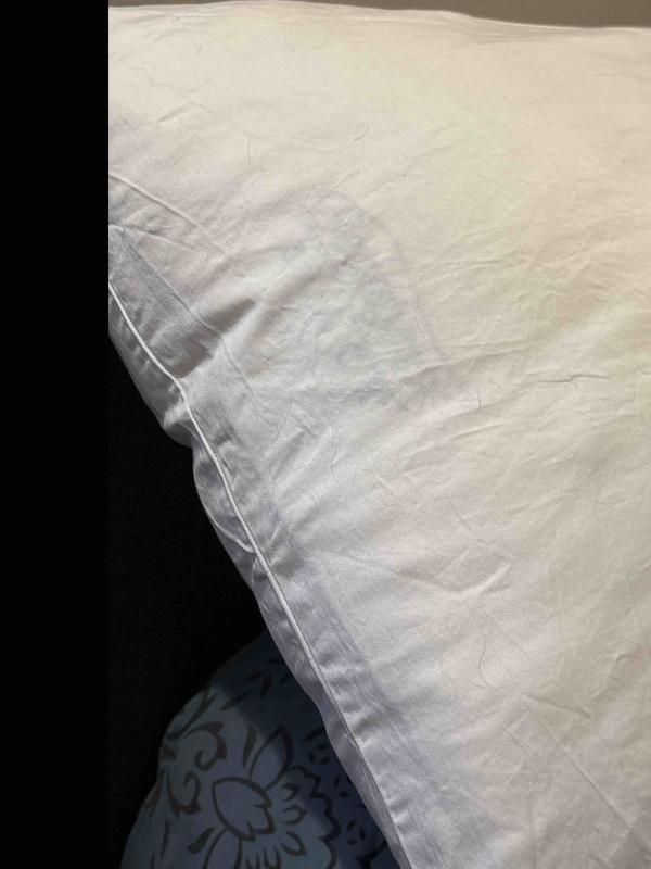 Review Thumbnail Image 1 244760427