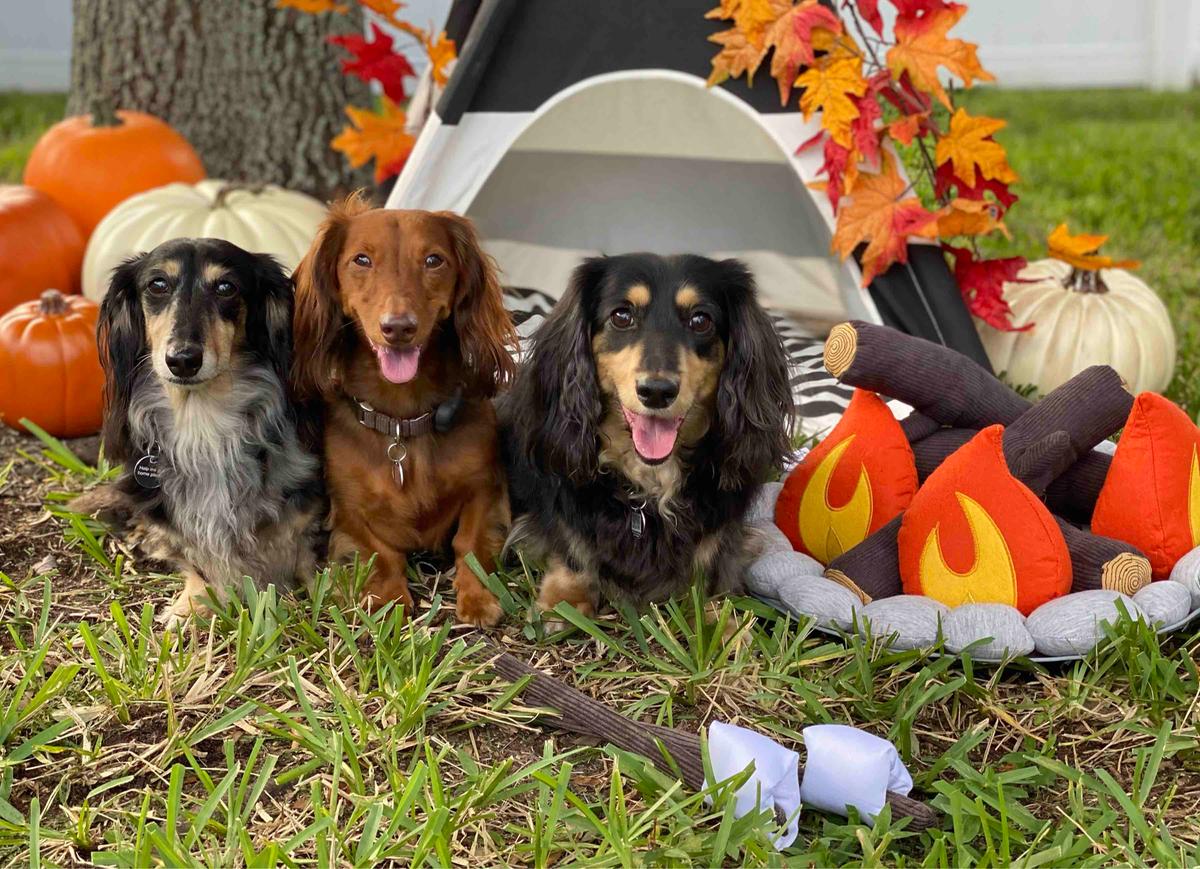 Review Thumbnail Image 0 200313243