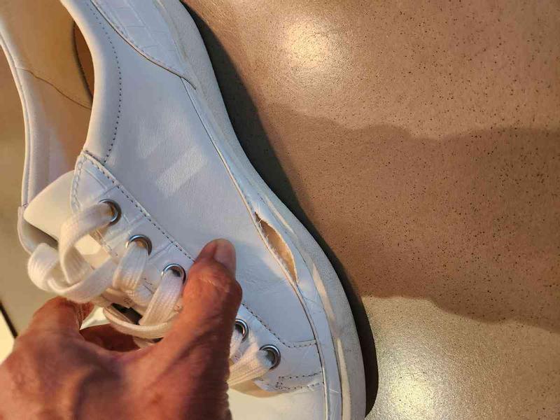 Review Thumbnail Image 0 241128088