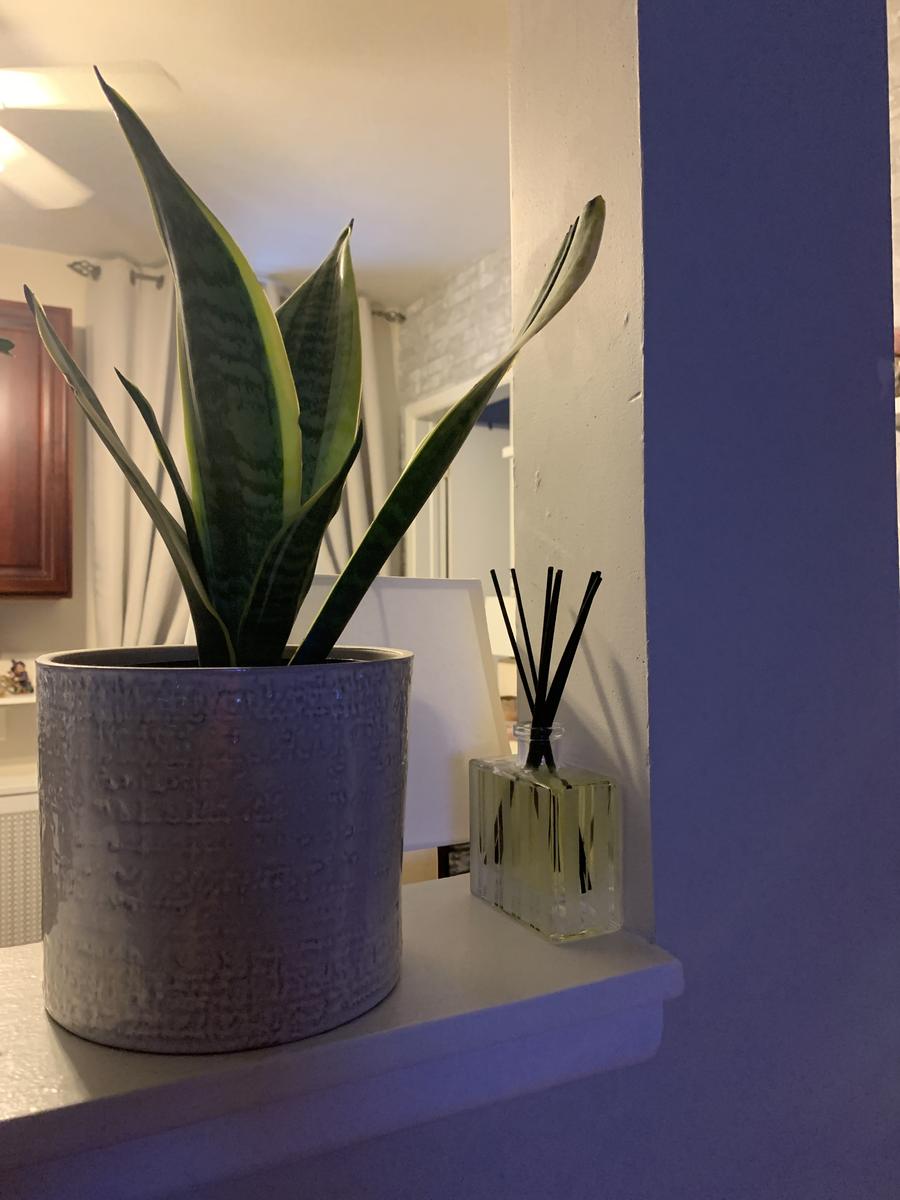 Review Thumbnail Image 0 209855309