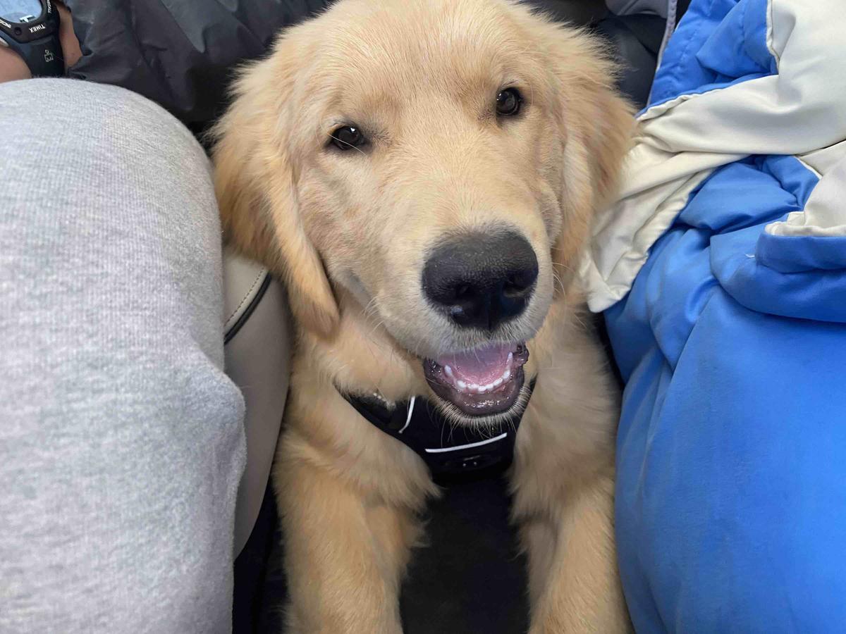 Review Thumbnail Image 2 206322450