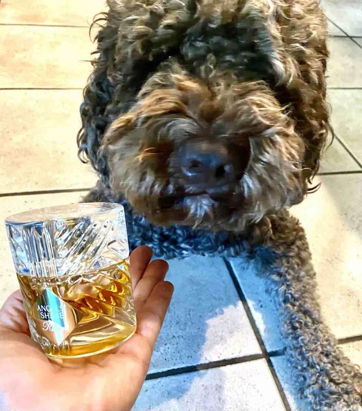 Review Thumbnail Image 0 217804225