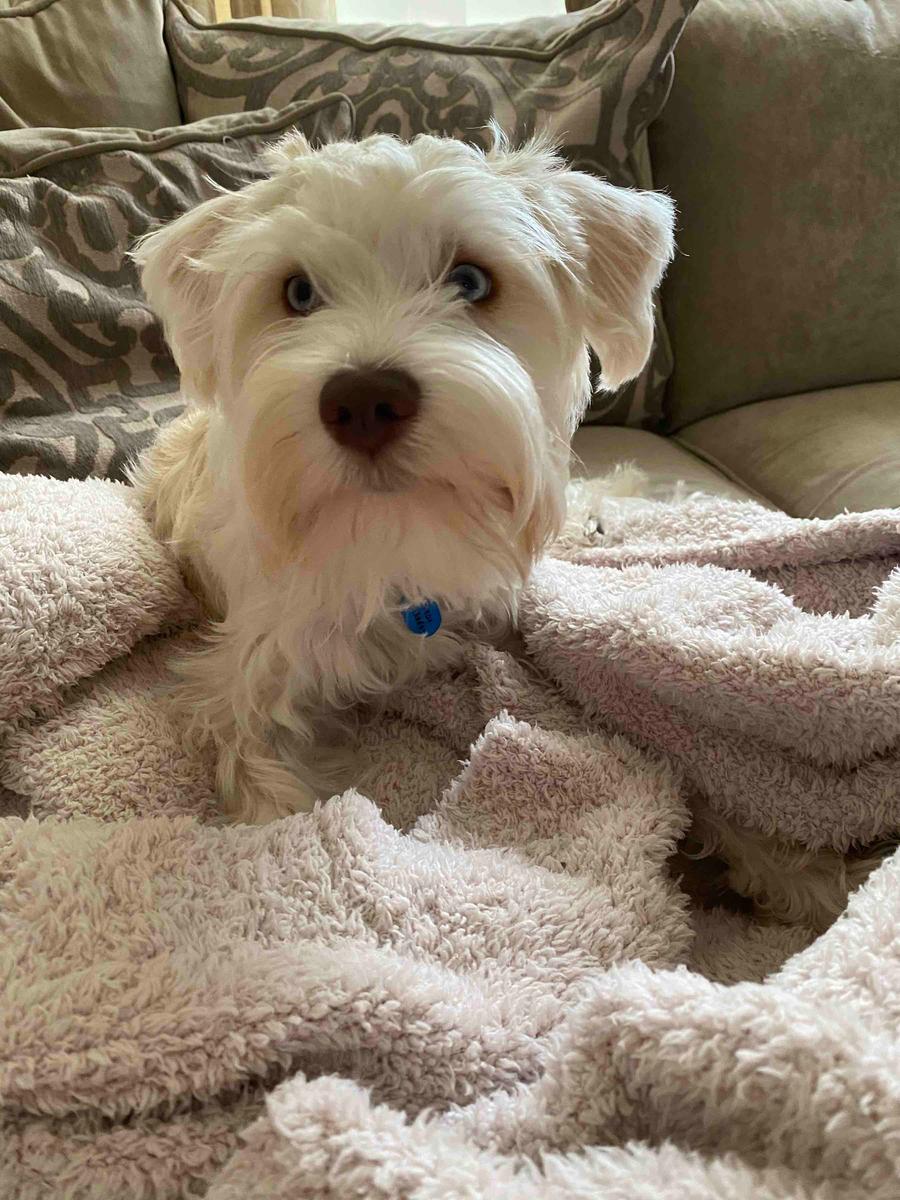 Review Thumbnail Image 1 199728108