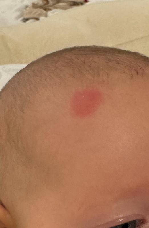 Review Thumbnail Image 0 231674729