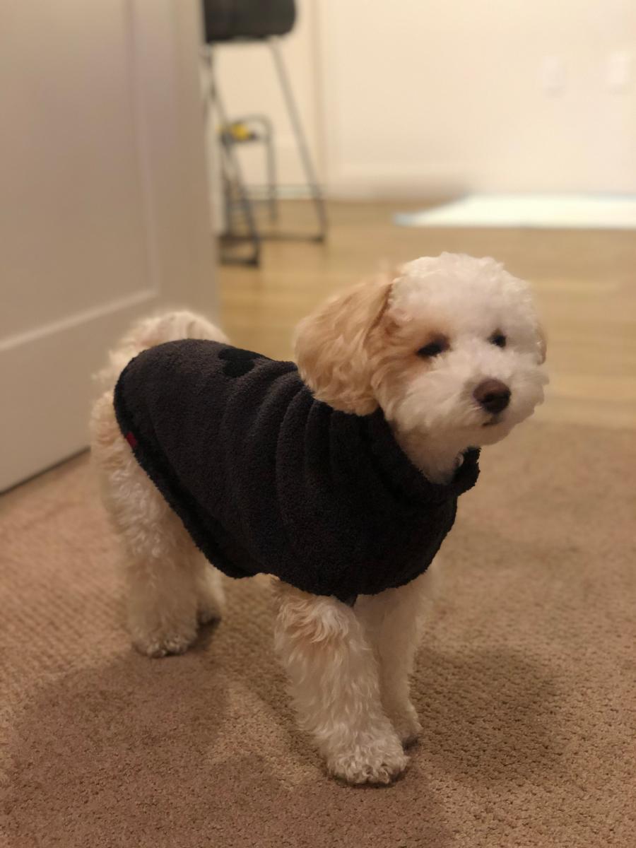 Review Thumbnail Image 1 192413124