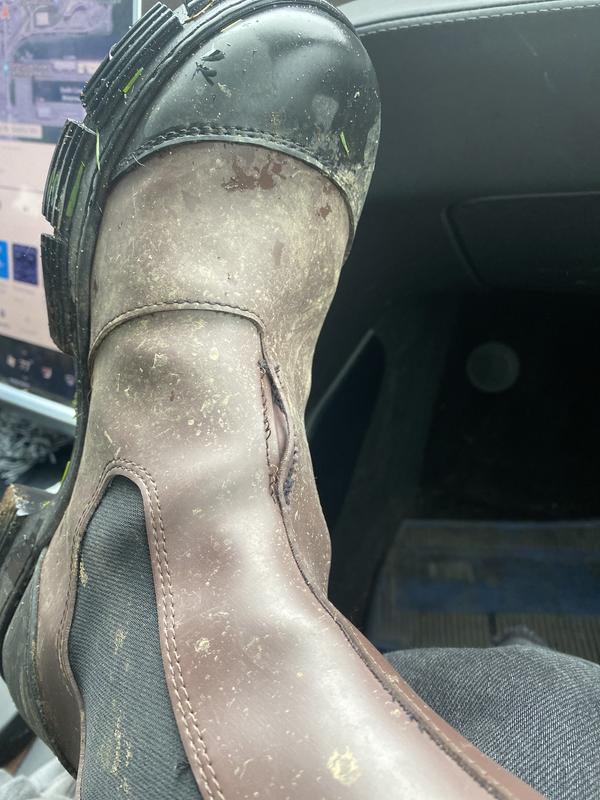 Review Thumbnail Image 0 212008584