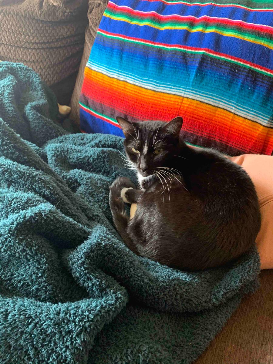 Review Thumbnail Image 0 199266217