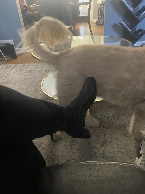 Review Thumbnail Image 0 220495866