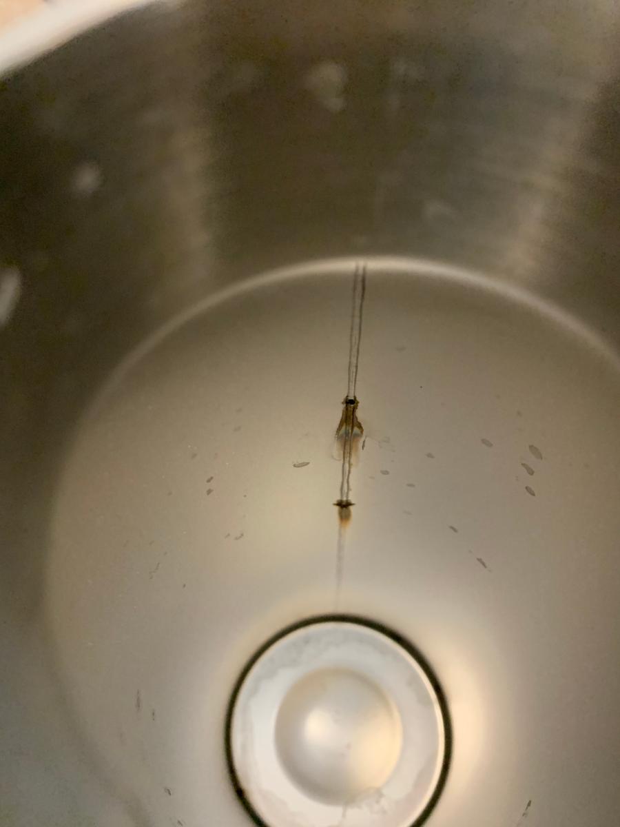 Review Thumbnail Image 0 198482260