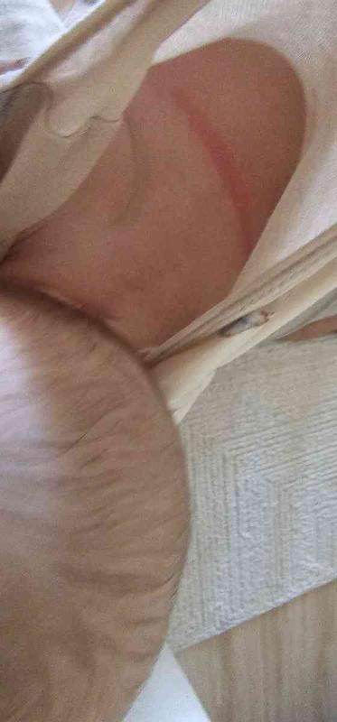 Review Thumbnail Image 1 242741152