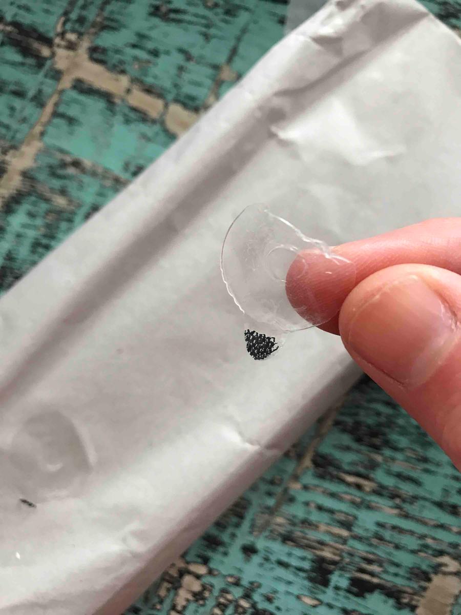 Review Thumbnail Image 1 197912075