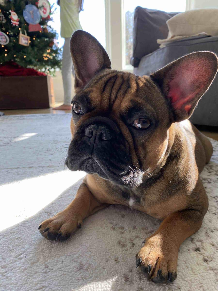 Review Thumbnail Image 0 202073052