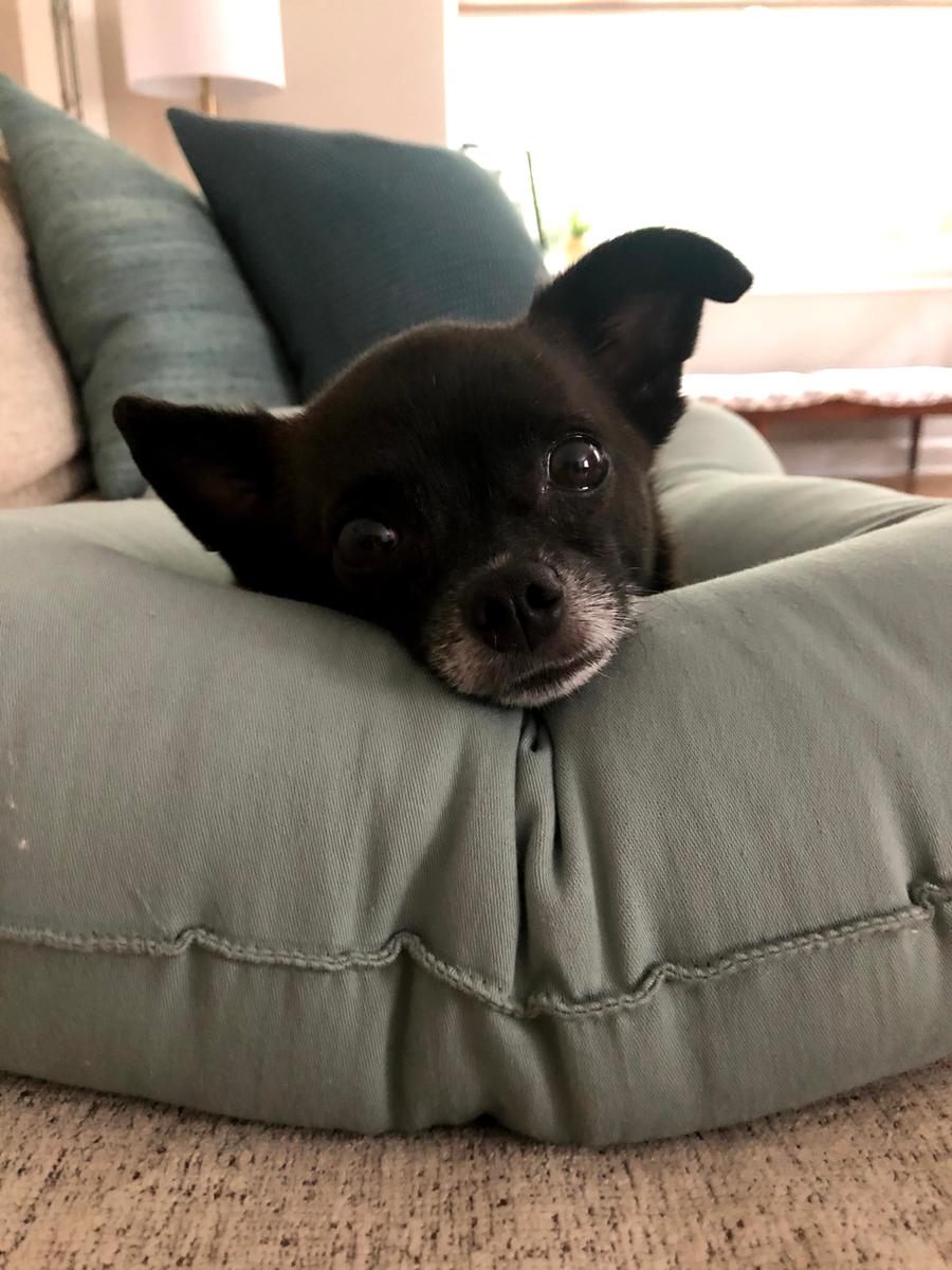 Review Thumbnail Image 0 199571497