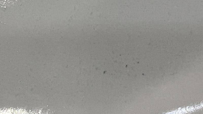 Review Thumbnail Image 3 232847685