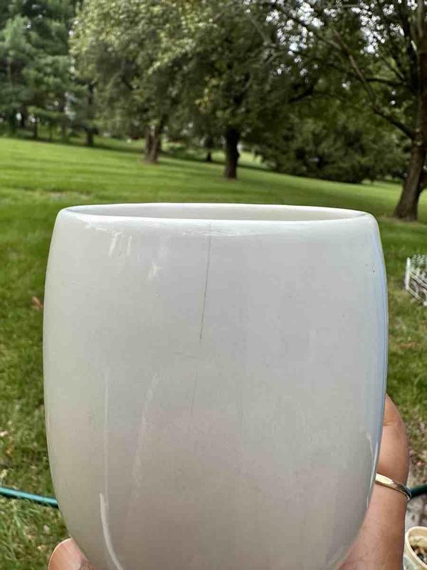 Review Thumbnail Image 0 235591080