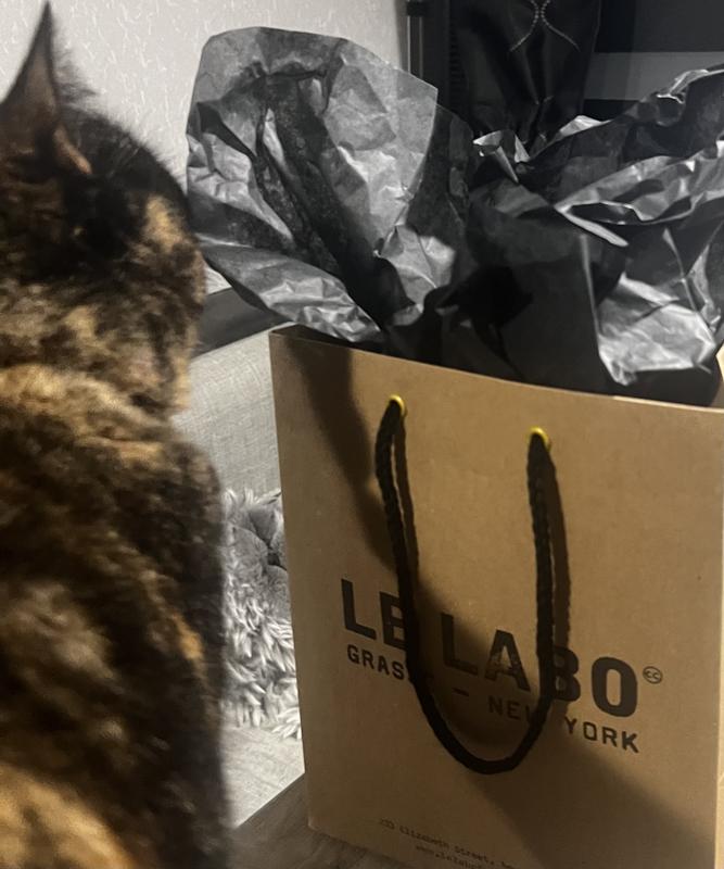 Review Thumbnail Image 0 231706055