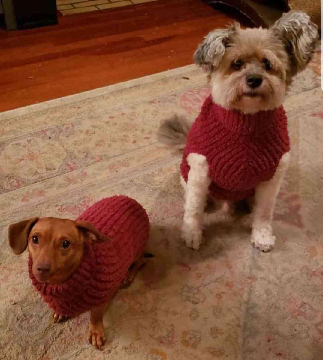 Review Thumbnail Image 0 200304210