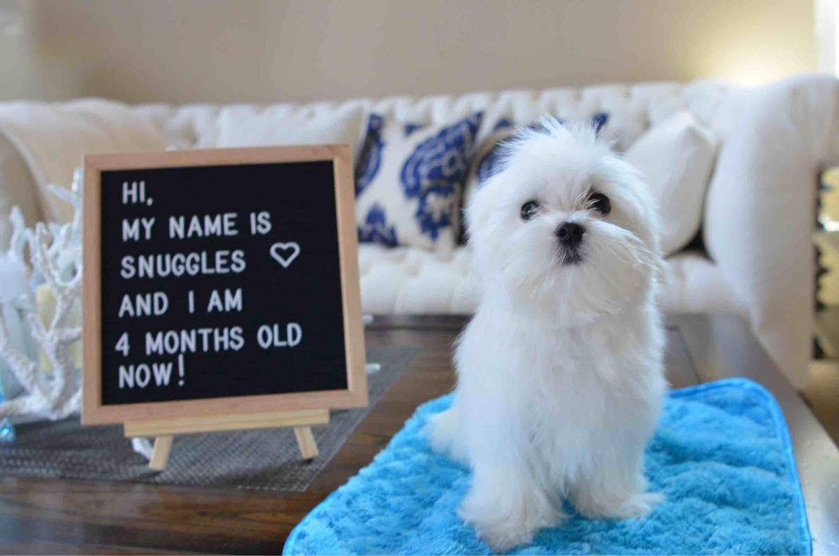 Review Thumbnail Image 0 196602497