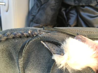 Review Thumbnail Image 0 108085237