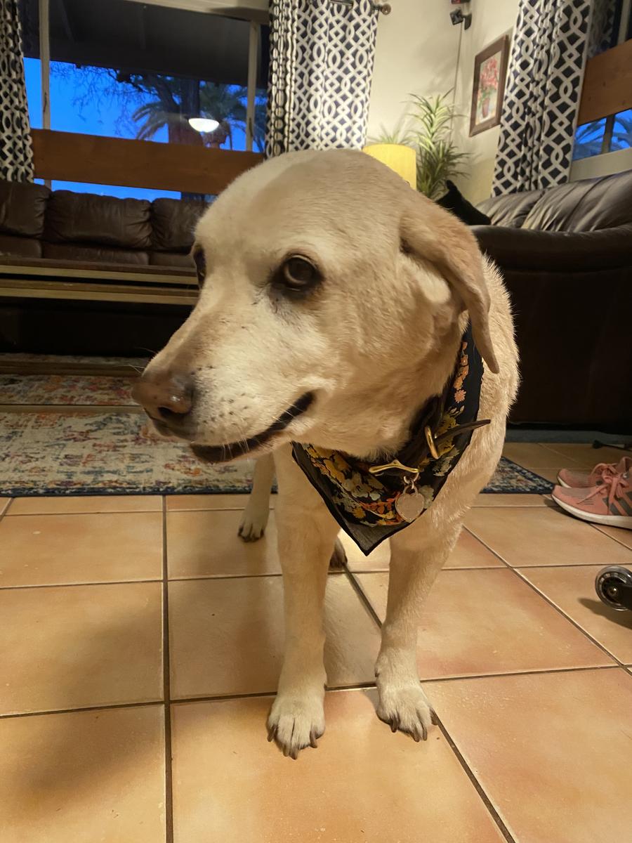 Review Thumbnail Image 0 203287563