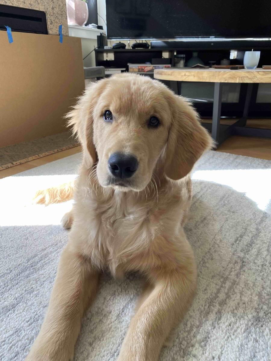 Review Thumbnail Image 1 206322450