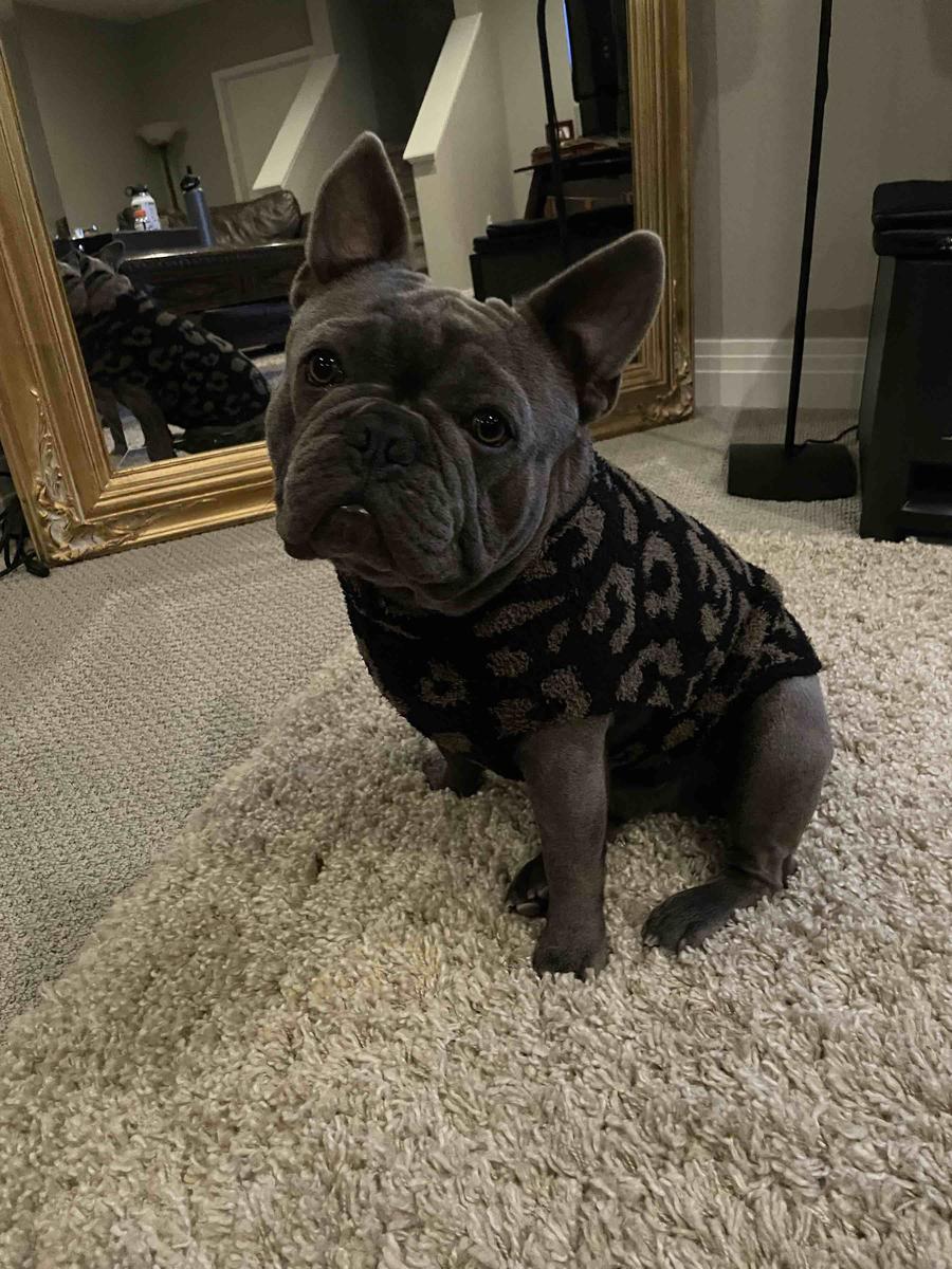 Review Thumbnail Image 0 209915251