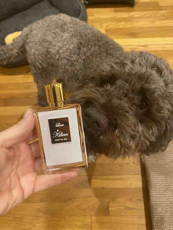 Review Thumbnail Image 1 222479189