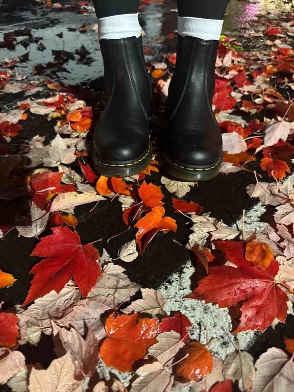 Review Thumbnail Image 0 229354707