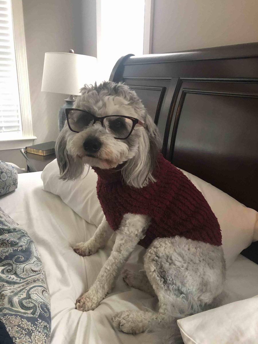 Review Thumbnail Image 0 201699319