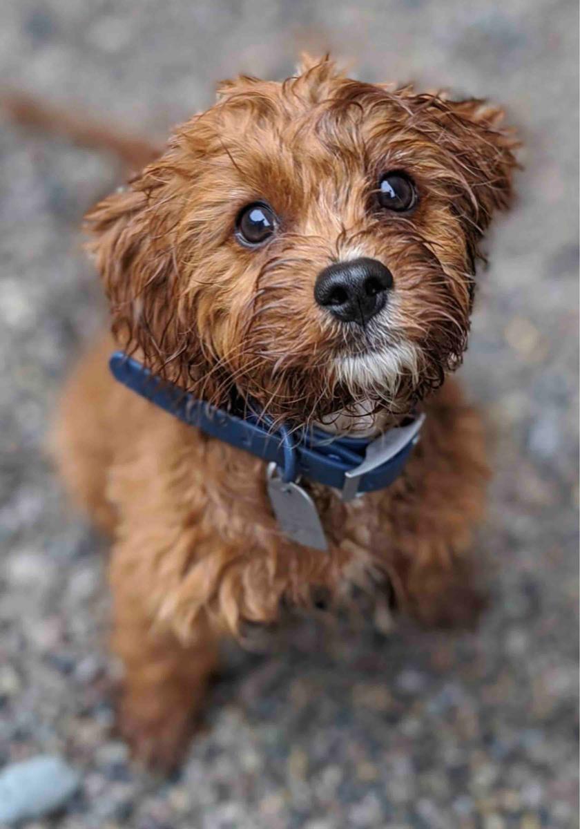 Review Thumbnail Image 1 199696739