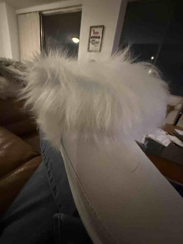 Review Thumbnail Image 0 247538651