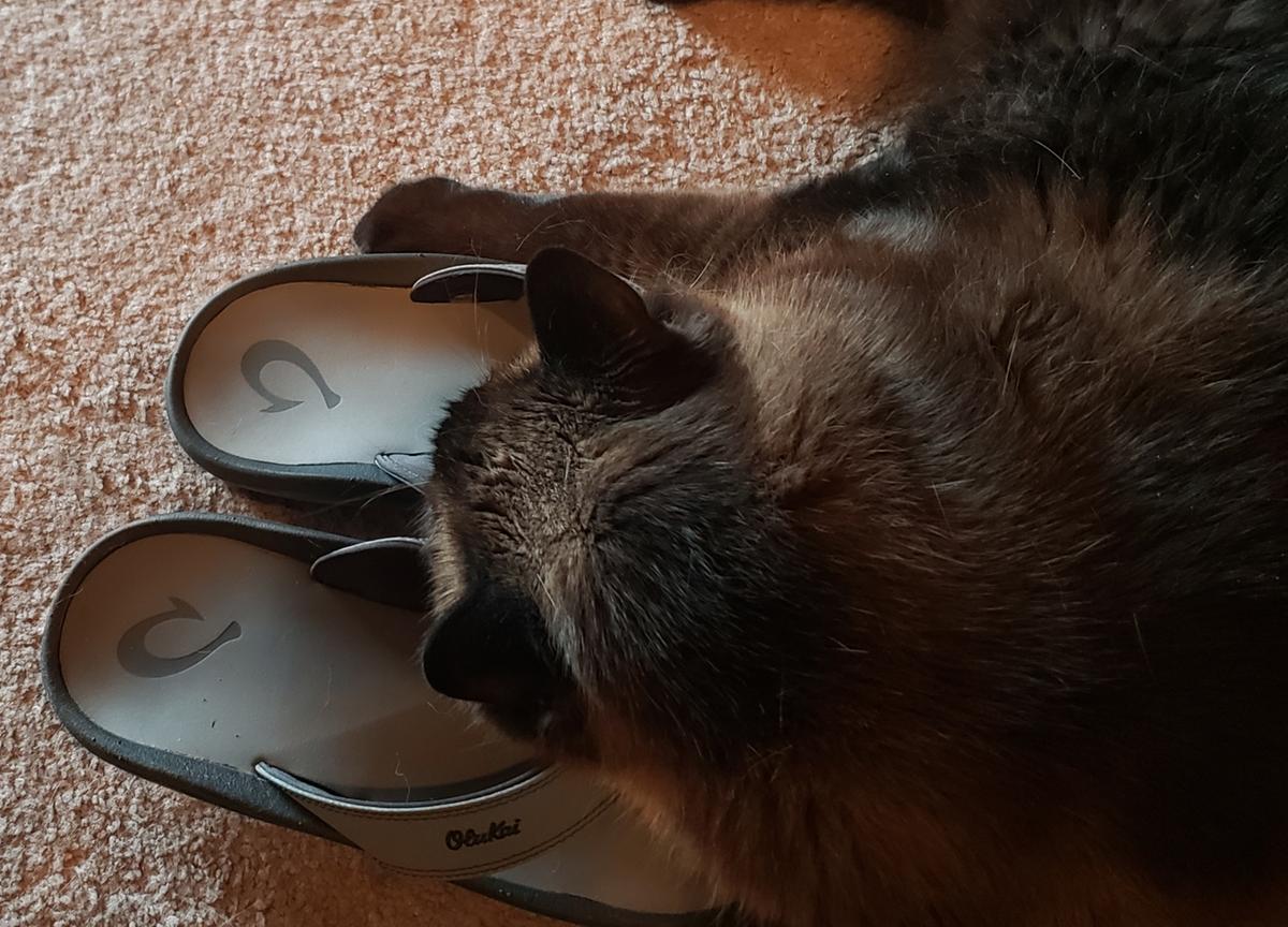 Review Thumbnail Image 0 196848602