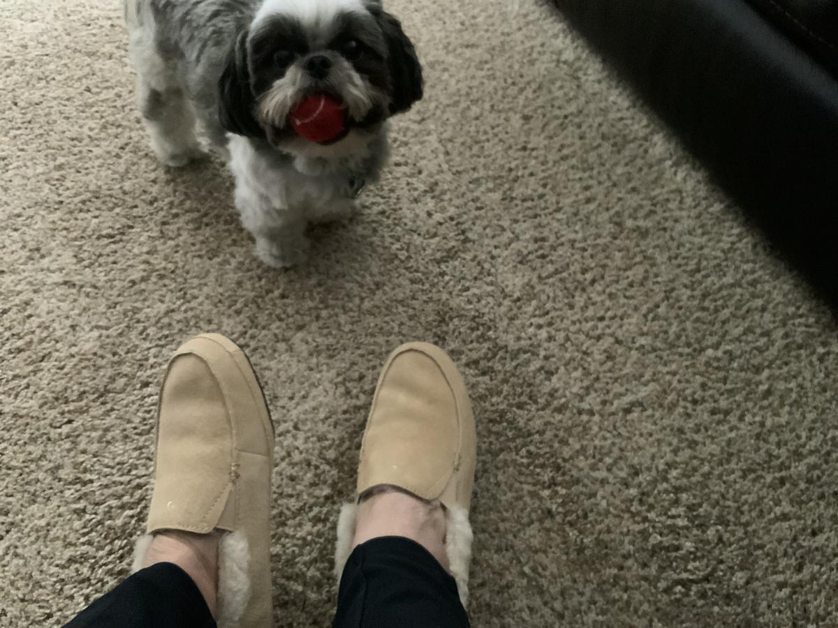 Review Thumbnail Image 0 204773844