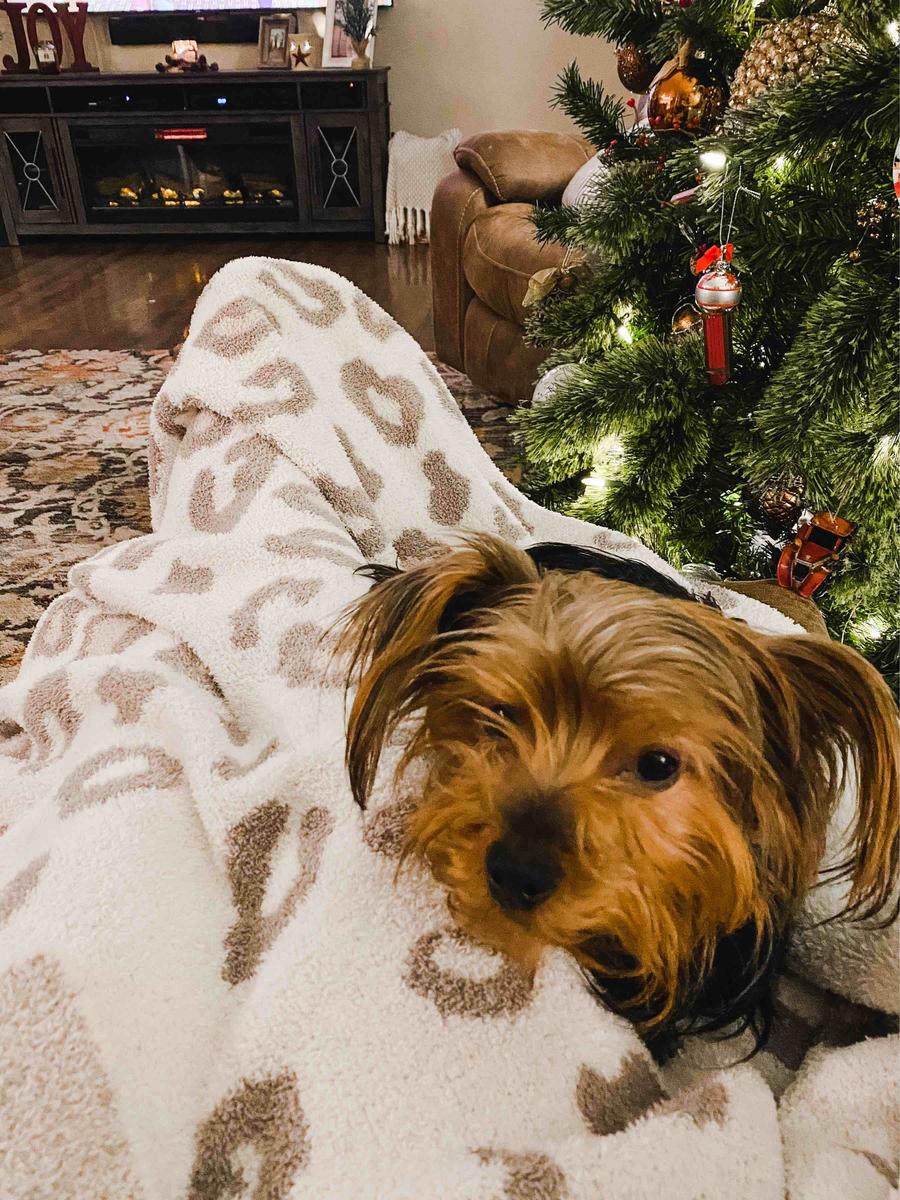 Review Thumbnail Image 0 203924177