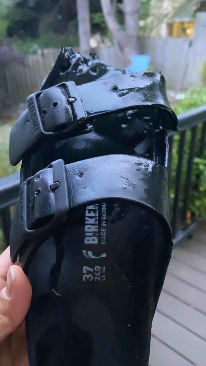 Review Thumbnail Image 0 196189237