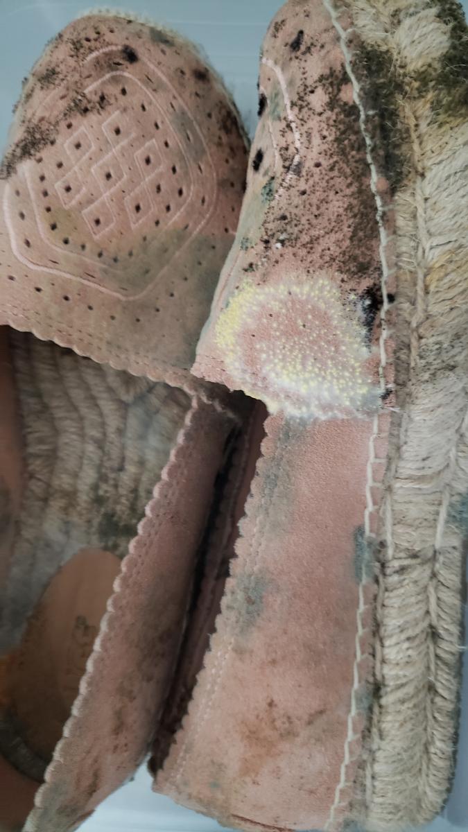 Review Thumbnail Image 0 202328295