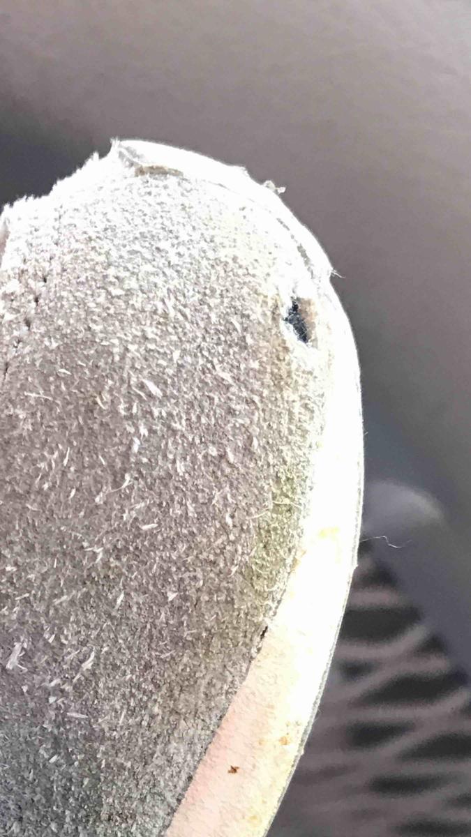 Review Thumbnail Image 1 205707690