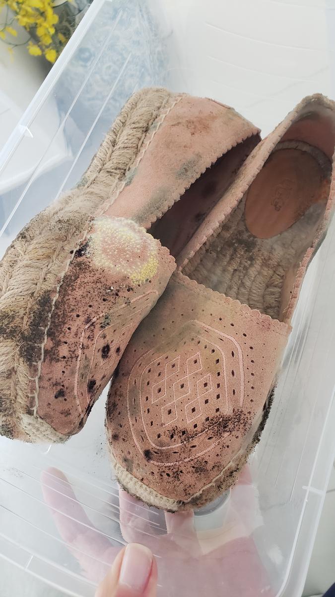 Review Thumbnail Image 1 202328295