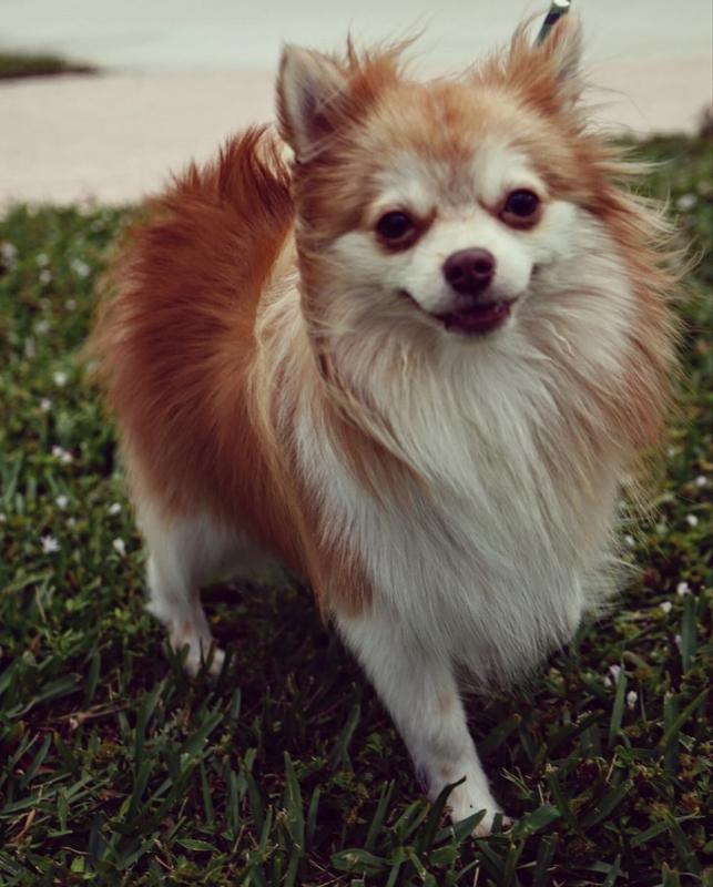 Review Thumbnail Image 0 230802689