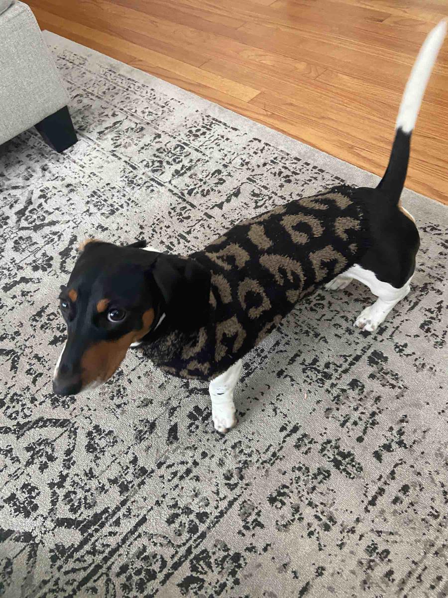 Review Thumbnail Image 0 209415778