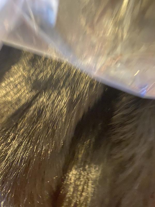 Review Thumbnail Image 0 247480571