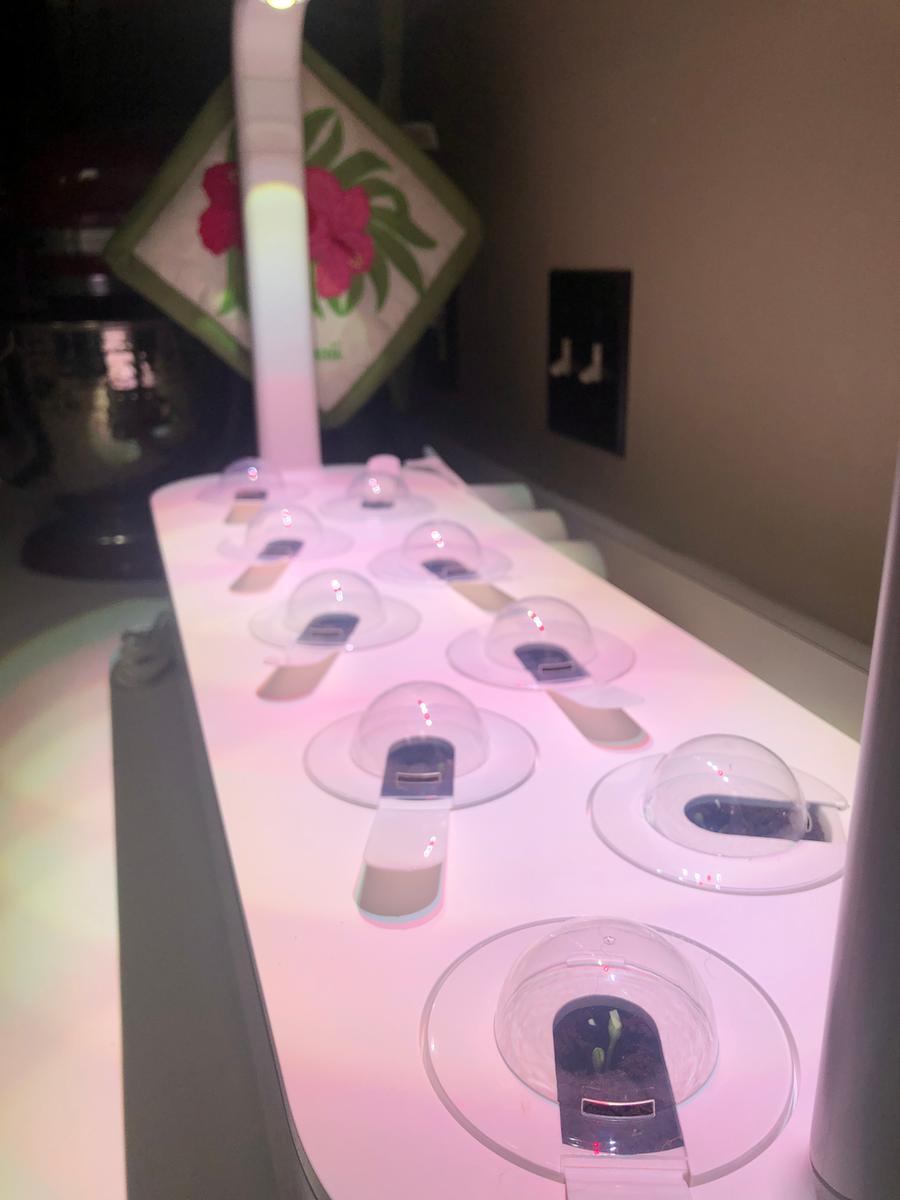 Review Thumbnail Image 0 199293757