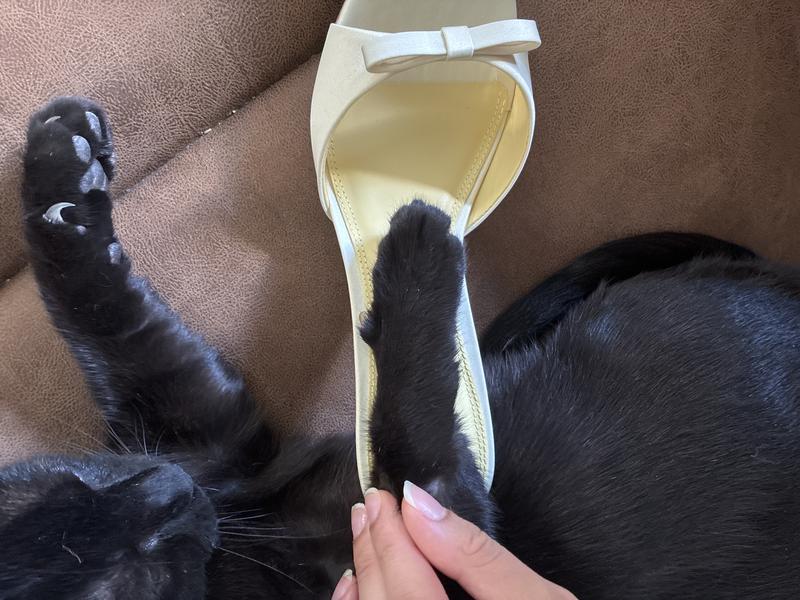 Review Thumbnail Image 0 244279614