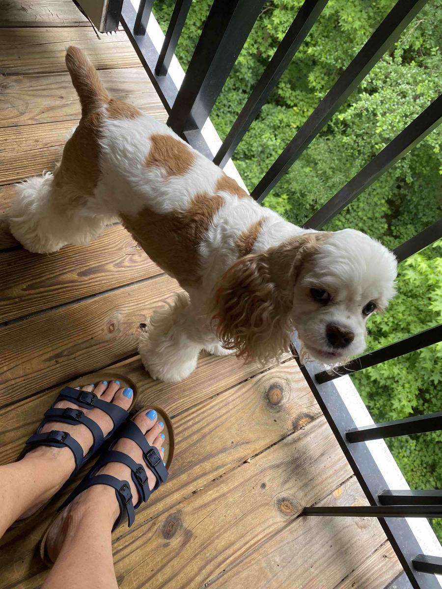 Review Thumbnail Image 0 208496256